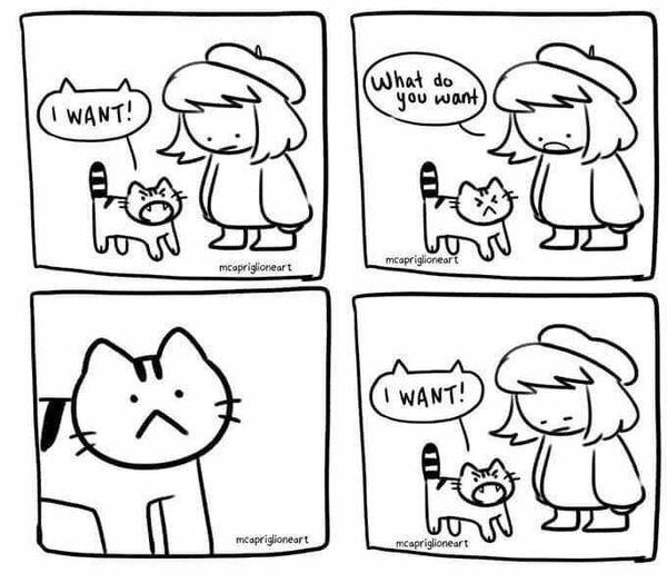 CatWant.jpg.d8e241c980d62cda48804816b414185c.jpg
