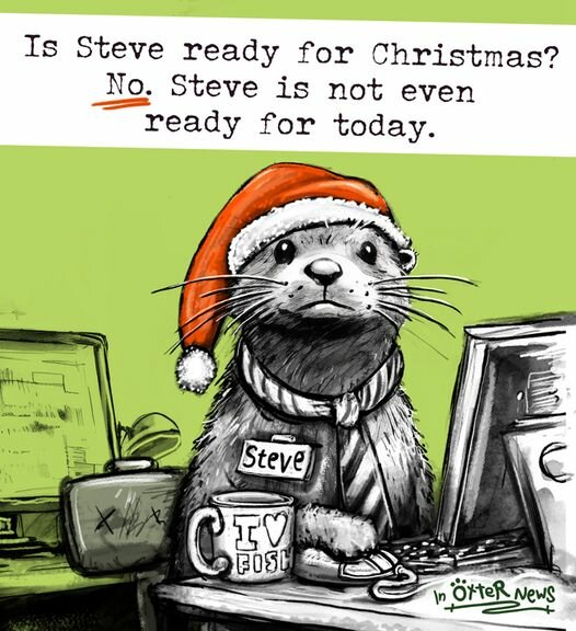 ReadyForChristmas.jpg.2664ce0821ea33cc4b17f4621649b545.jpg