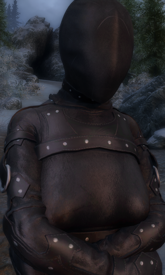 TheElderScrollsVSkyrimSpecialEditionScreenshot2023_12.10-01_34_48_64.png.65fbb56bdfc1523f33819d4b38b2a6cb.png