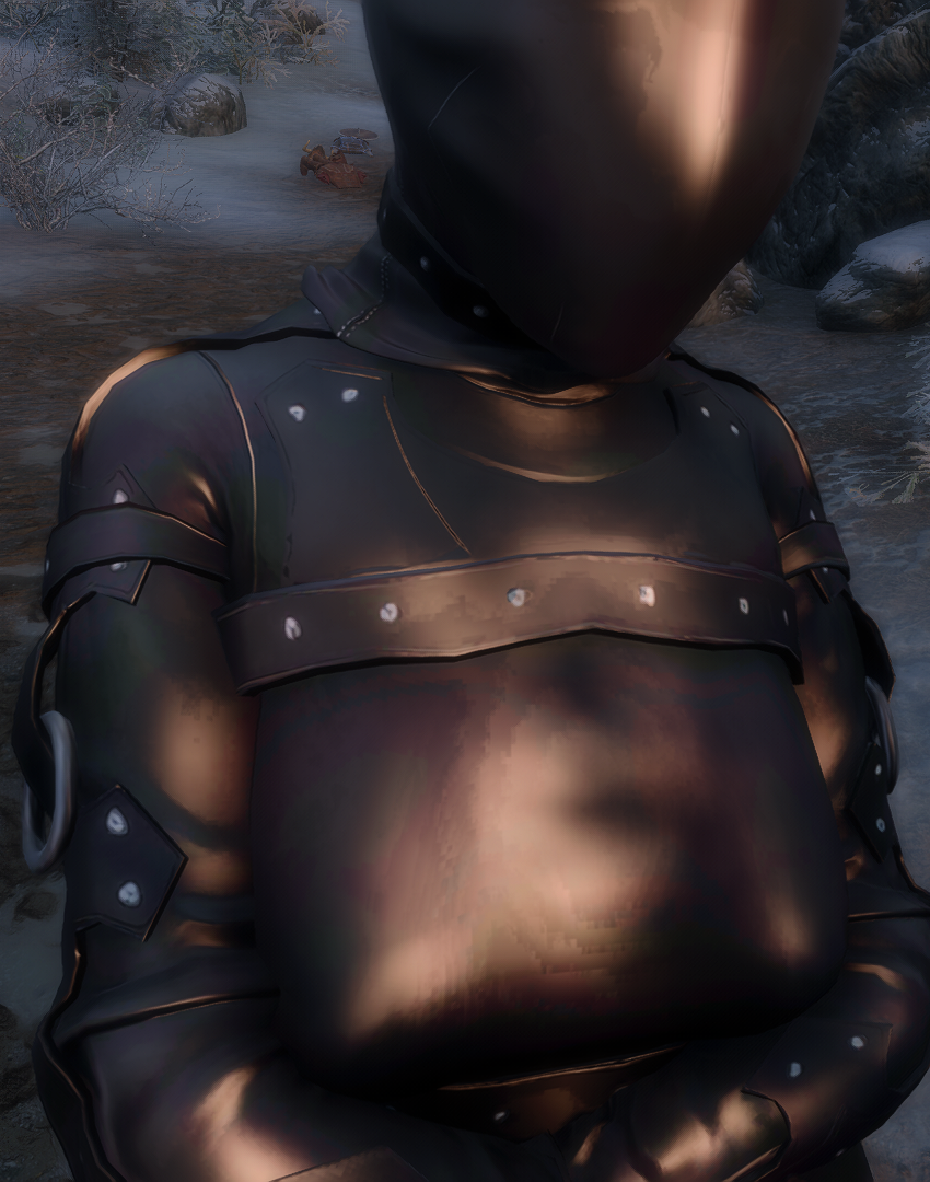 TheElderScrollsVSkyrimSpecialEditionScreenshot2023_12.10-01_37_06_04.png.9d8f89f65c10915c83f82243d0cec2ee.png
