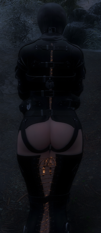 TheElderScrollsVSkyrimSpecialEditionScreenshot2023_12.10-01_38_42_93.png.926014659215e3e4d2117e1af7beb576.png