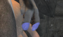 image.png.4580b48332d8f84eddeeba37232eb461.png