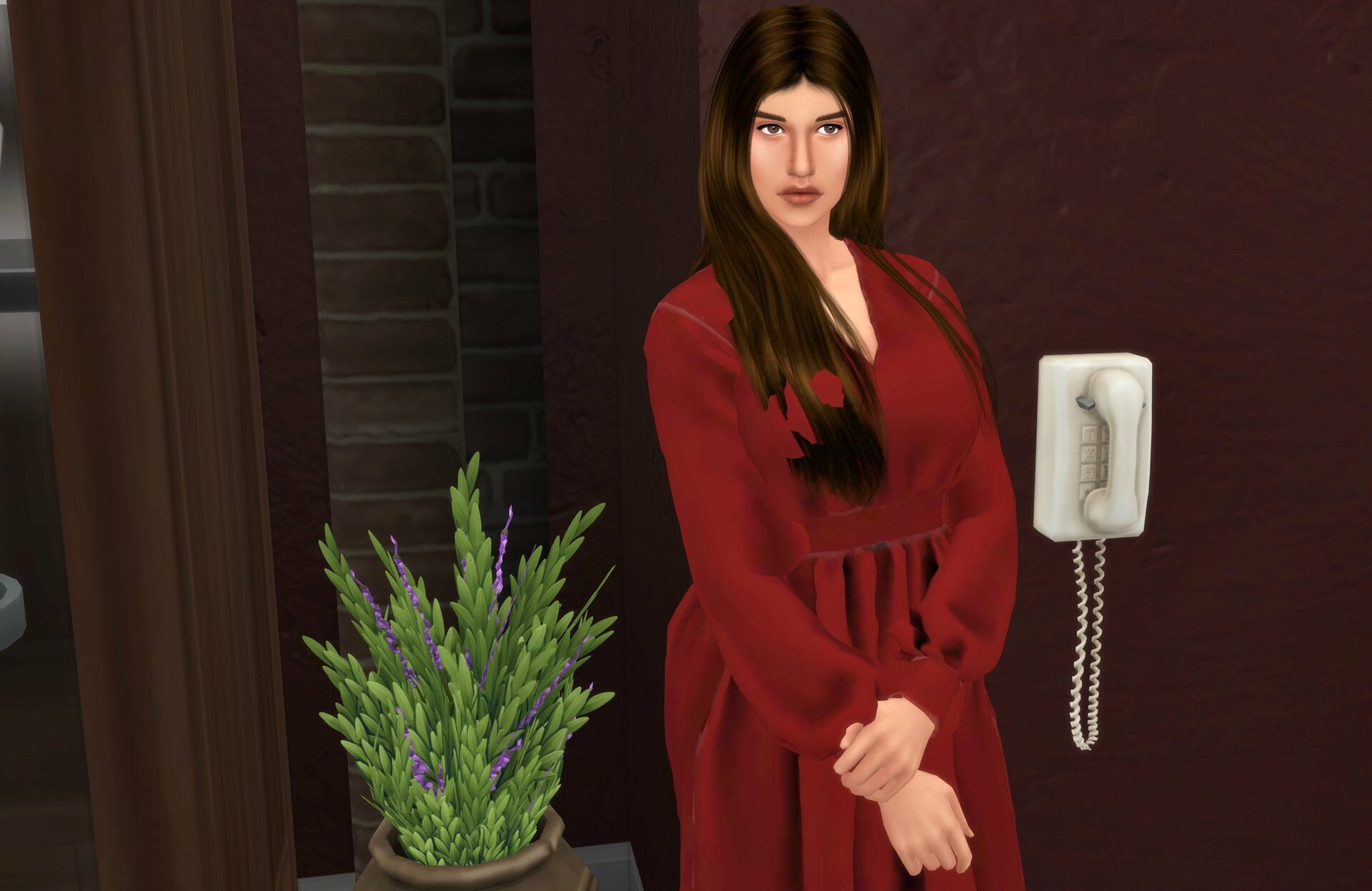 11-24-23_123051AM.thumb.jpeg.dc13e704a131b61a7201430658a0591f.jpeg