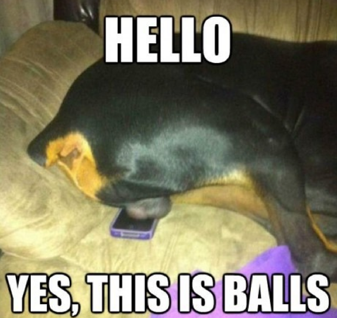 1622889746991.thumb.png.9ba95272381a762a38f8b56dc64f6bd2.png