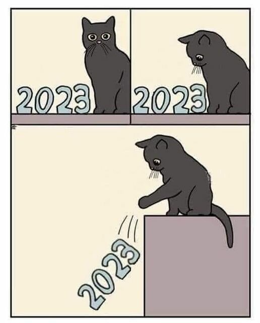 Cat2023.jpg.29f61f9760745ca124a22525abd4476d.jpg