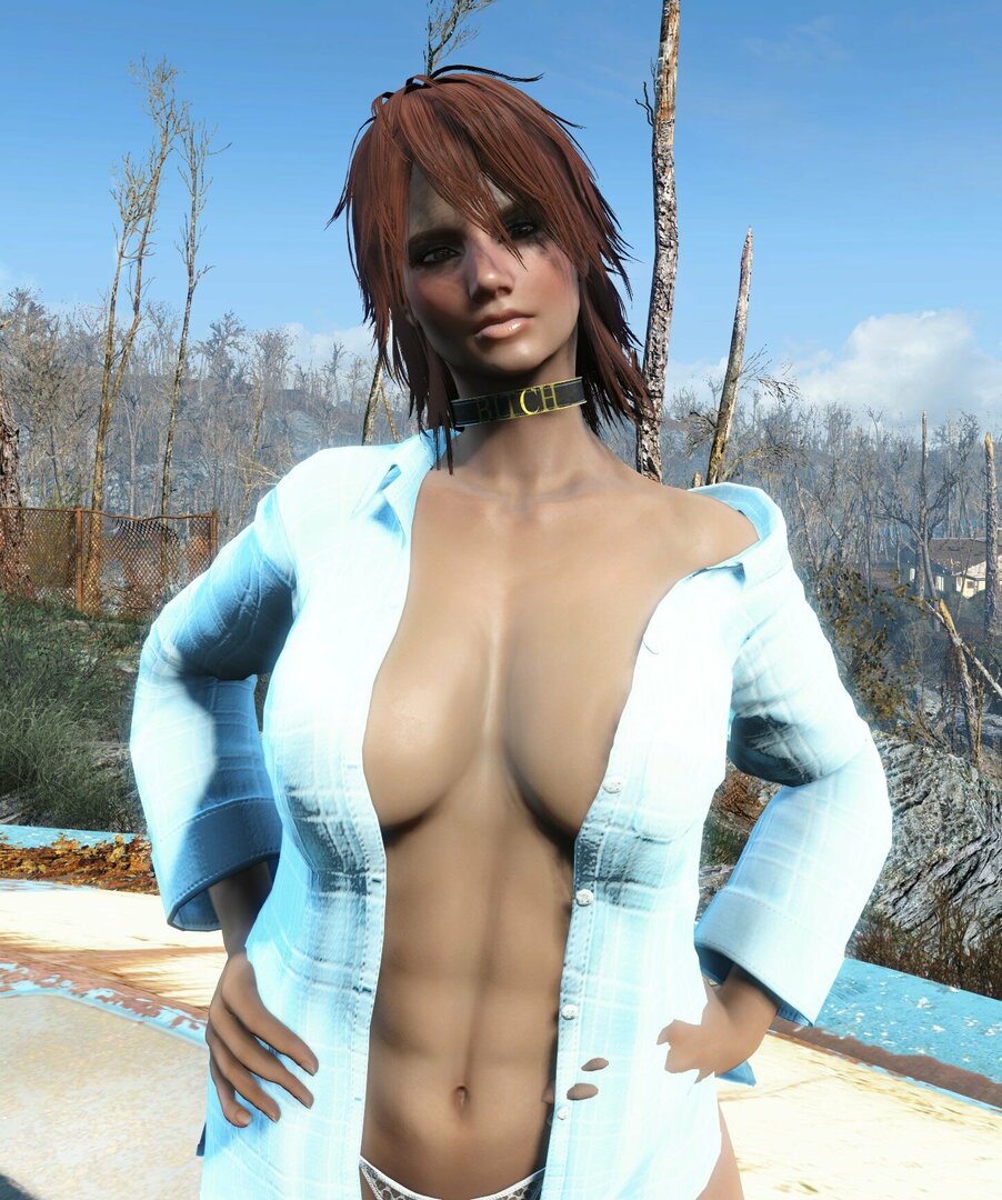 Fallout 4 Screenshot 2024.01.05 - 2.jpg