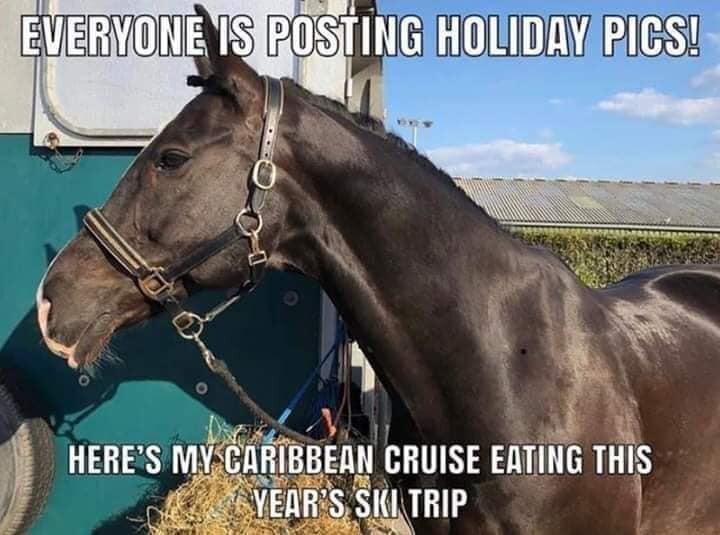 HorseCarabeanCruiseEatingSkiTrip.jpg.7f2aae51aaaeab6596bbd7db56931219.jpg