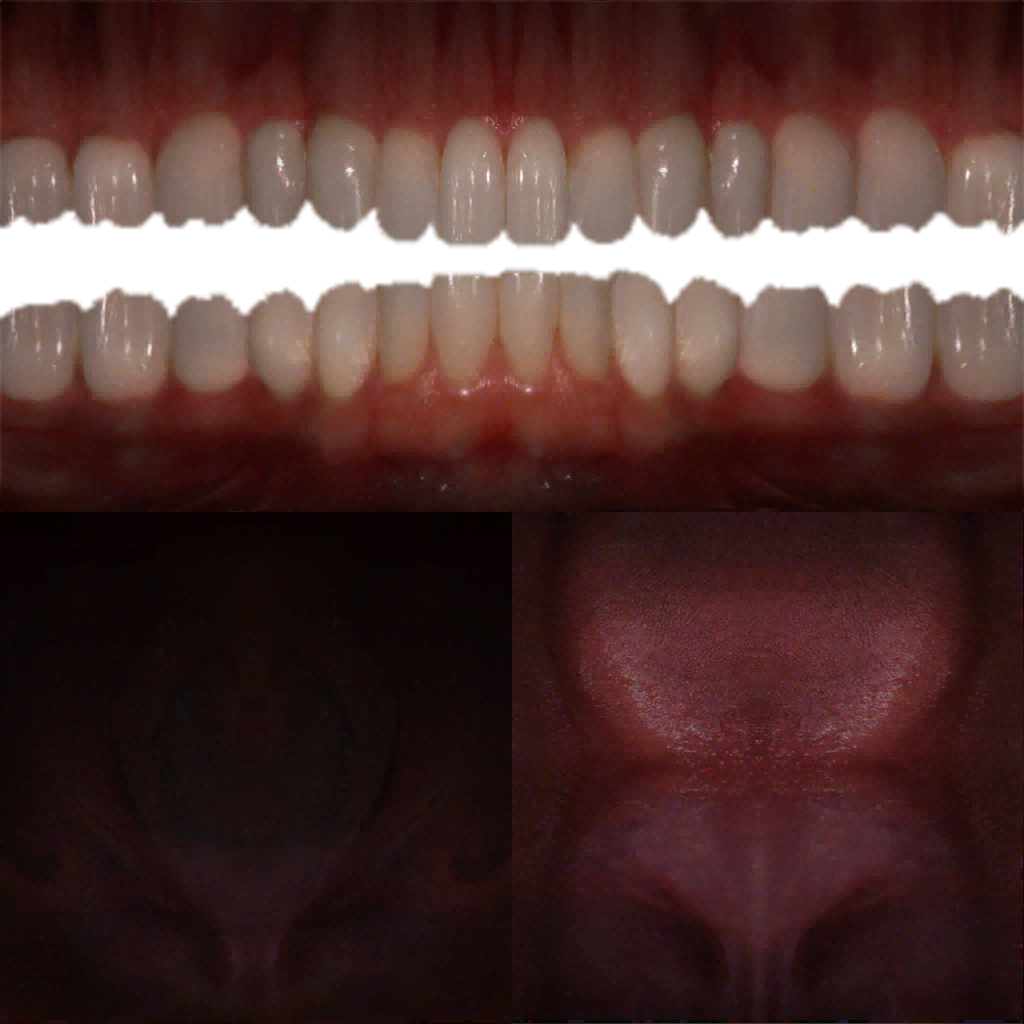 Mouth.png.a86a0cfd3dc02d932ecd7f62175e51da.png