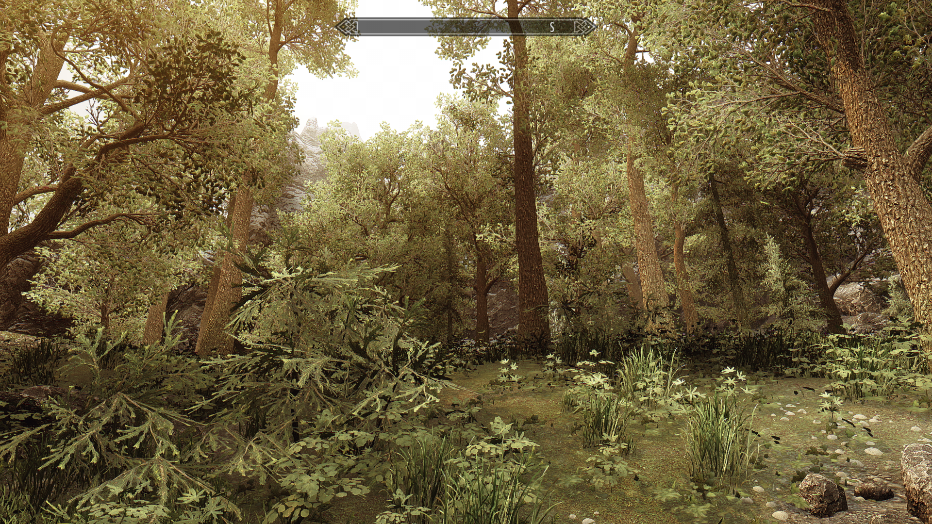 ScreenShot2467.png.687074e5dbf9c314f228b88d0564fb7b.png