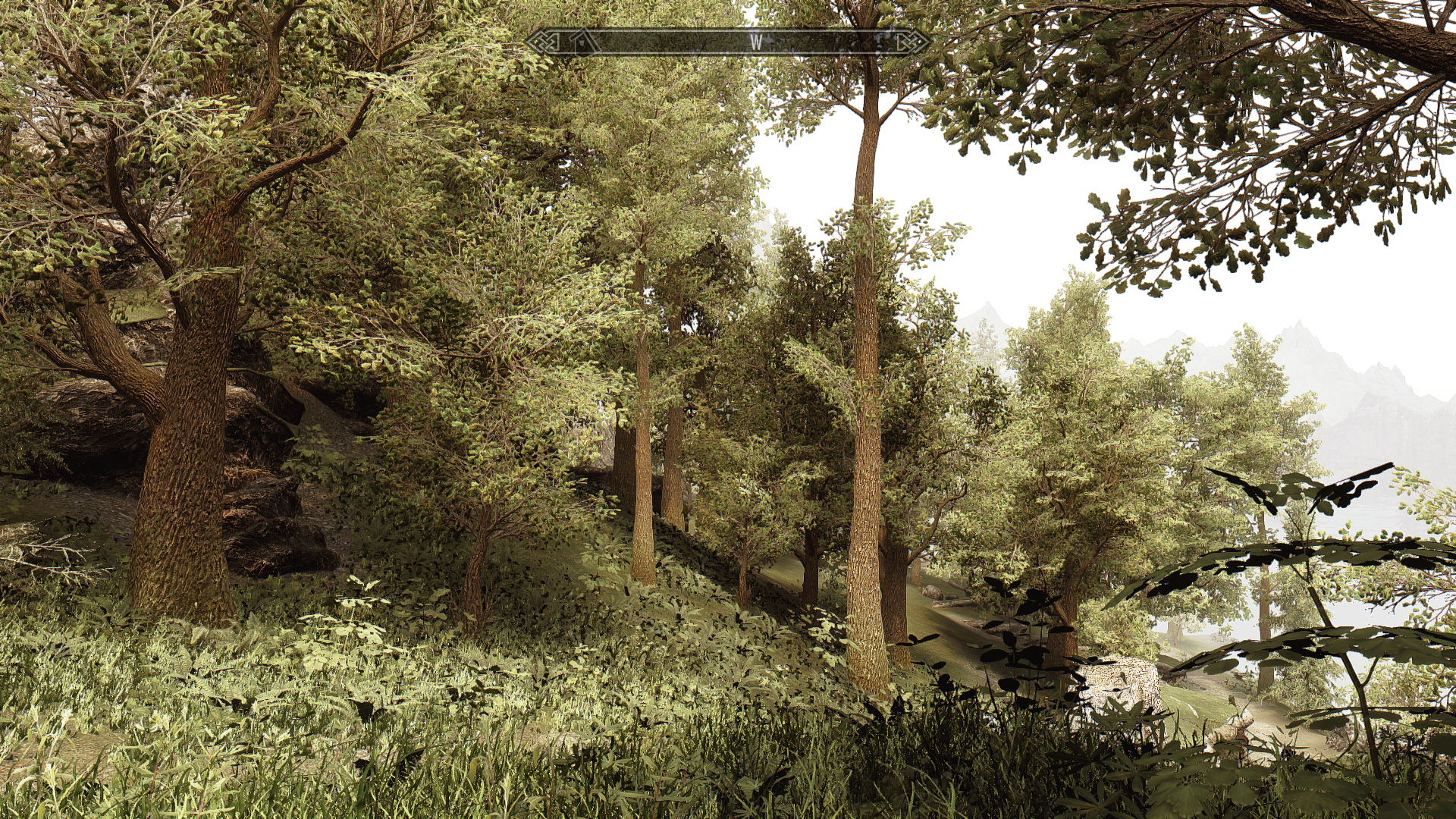 ScreenShot2470.png.b7f7f3fc0f454fb8fe9a2fa09be3f6a0.png