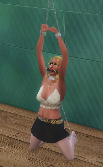 TS4_x64_MyyZsEQ6Pd.png.6c73175b3d73718b229a2ea778afb0bb.png