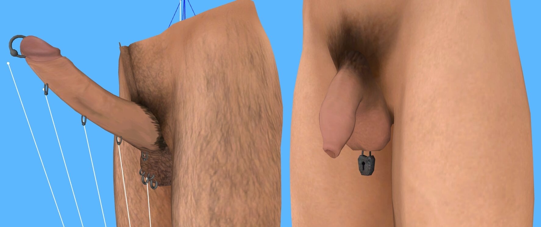Tr3.jpg