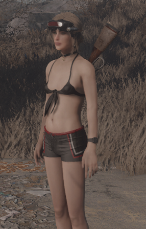 2024-02-2113_45_04-Fallout4.png.08a24eaed219c7a0001707f4e4f098a9.png