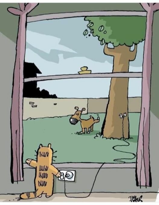 CATElectricTree.jpg.359c491b05cd21010e654f6b834ceb1a.jpg