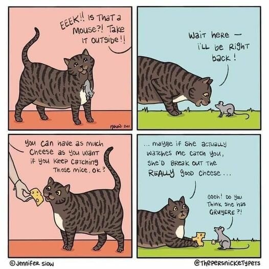 CatAndMouse.jpg.63bd984a97f5abc1ad997f12e6e5d5ab.jpg