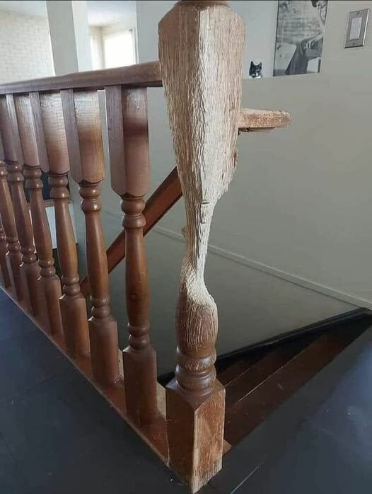 CatArt.jpg.9ce36f5ab6470e2b7e17ef8214867294.jpg