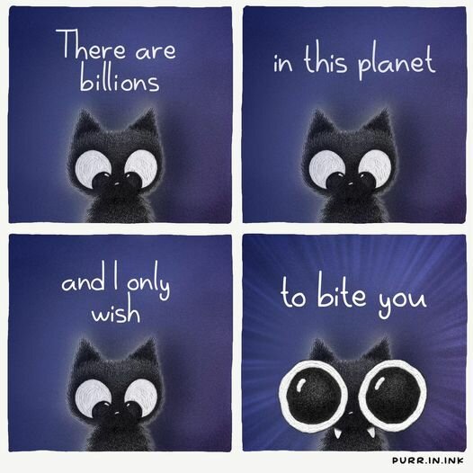 CatBites.jpg.f71eb9bccfcf3188370e5328cd05f418.jpg