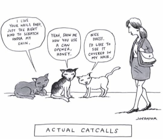 CatCalls.jpg.bde5234ef61076e0105feb1e1b190508.jpg