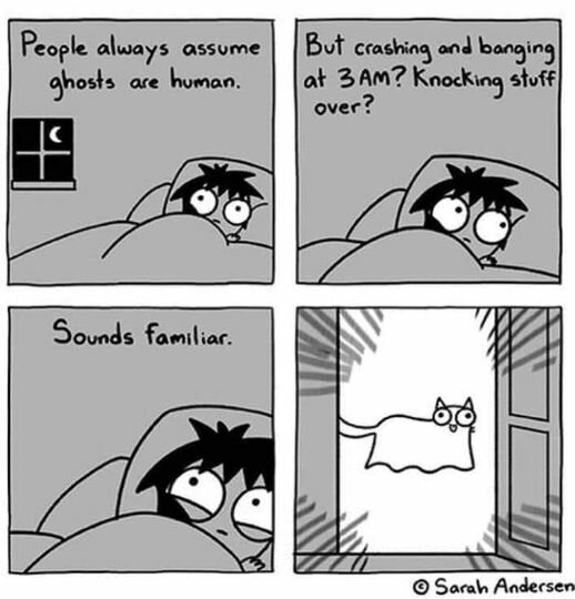 CatGhost.jpg.7608c6e12797cc4ed89ca938c84a6b77.jpg