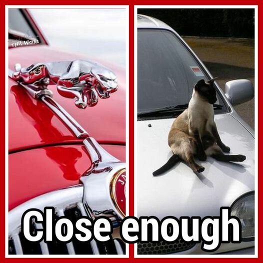CatHoodOrnament.jpg.d7a088bf956b22bfd0573ad335ce42c0.jpg