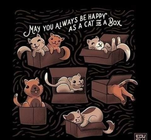 CatInABox.jpg.f2e370d7a0419a585cb5969c9ec062f3.jpg