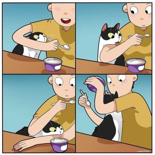 CatInterested.jpg.94e766cc3c61b21ad4cfaecced4a3afa.jpg