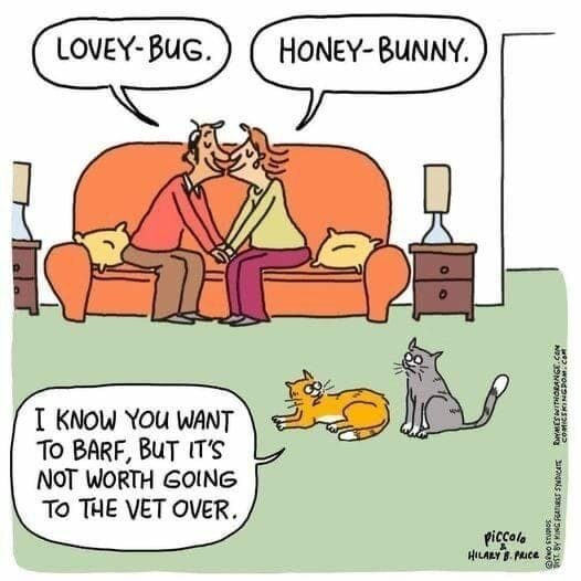 CatLoveBugBarf.jpg.935f274955393b1da77e2f2ffbdf1c28.jpg