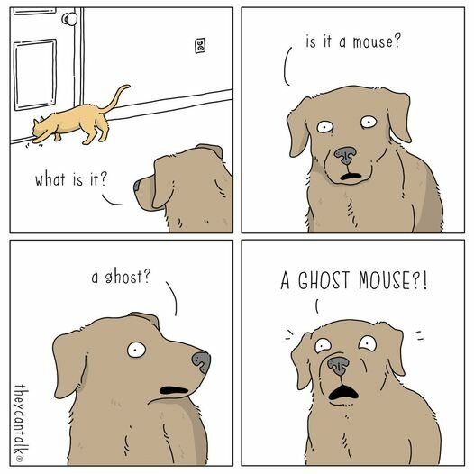 CataskedByDog.jpg.c5bb9a207fb33aed1104de7b4ba13ba3.jpg