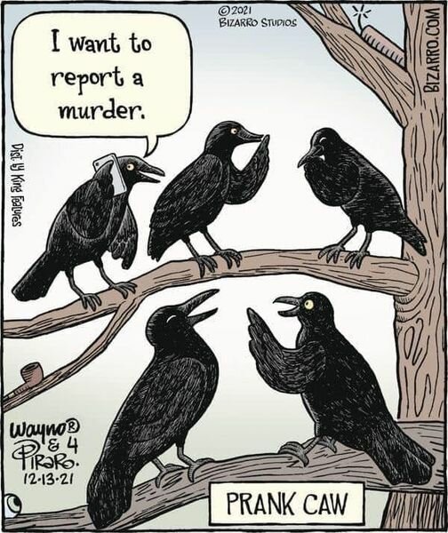 LLPrankCaw.jpg.a25864e958aa056a4baf817b8d0fcfc1.jpg