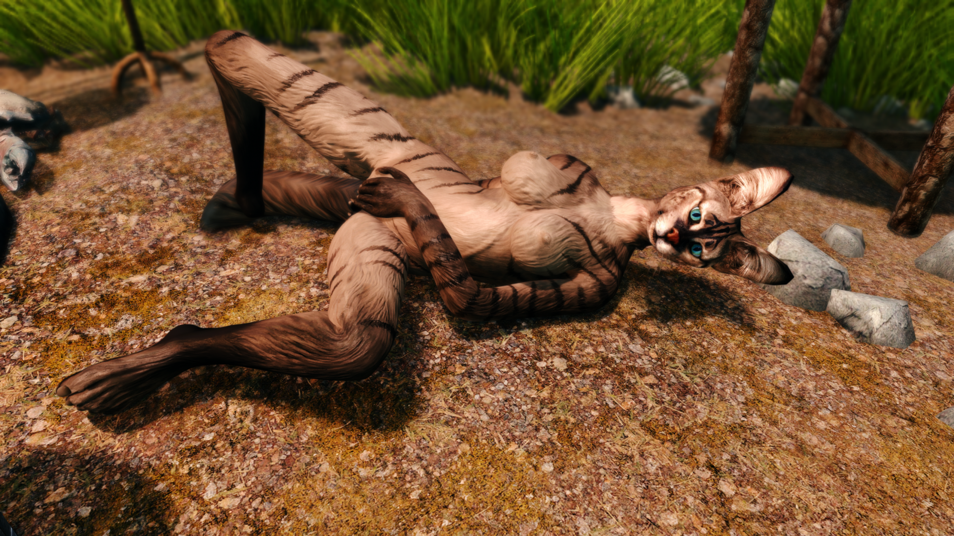 Skyrim1001.thumb.png.e036174d2a6b163ace8f15443827878f.png