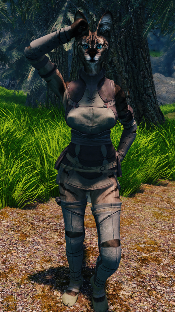 Skyrim1005.thumb.png.b97de1056d952ec36763fdd7a85e929b.png