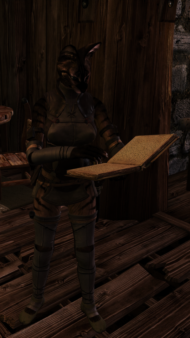 Skyrim1021.thumb.png.fafb95bf3e79b6ac1c08ad082e8afcfe.png