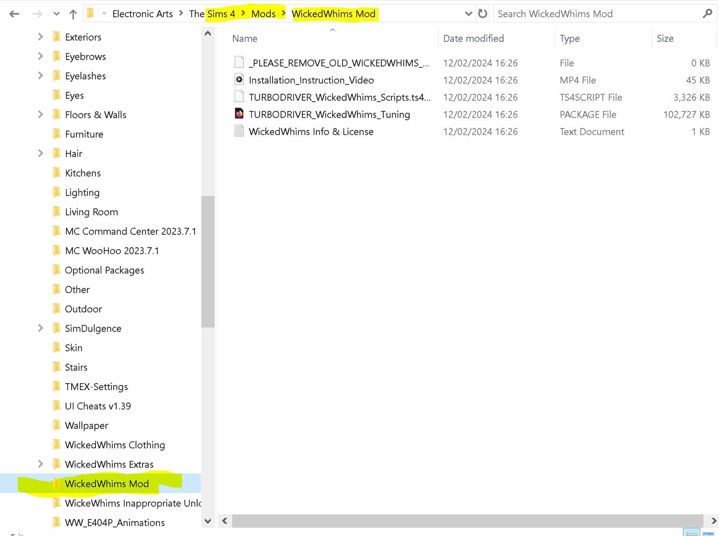 WickedWhims MOD Folder.JPG