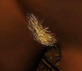 image.jpeg.81e01370ef57c77ccbf52933a991515e.jpeg
