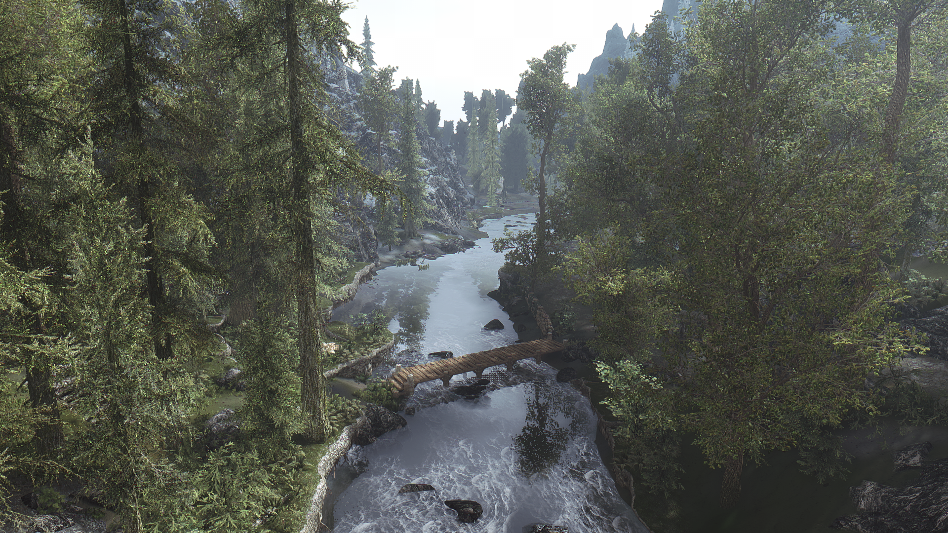image.png.d092d74c135679c01d4d22051855e4a9.png