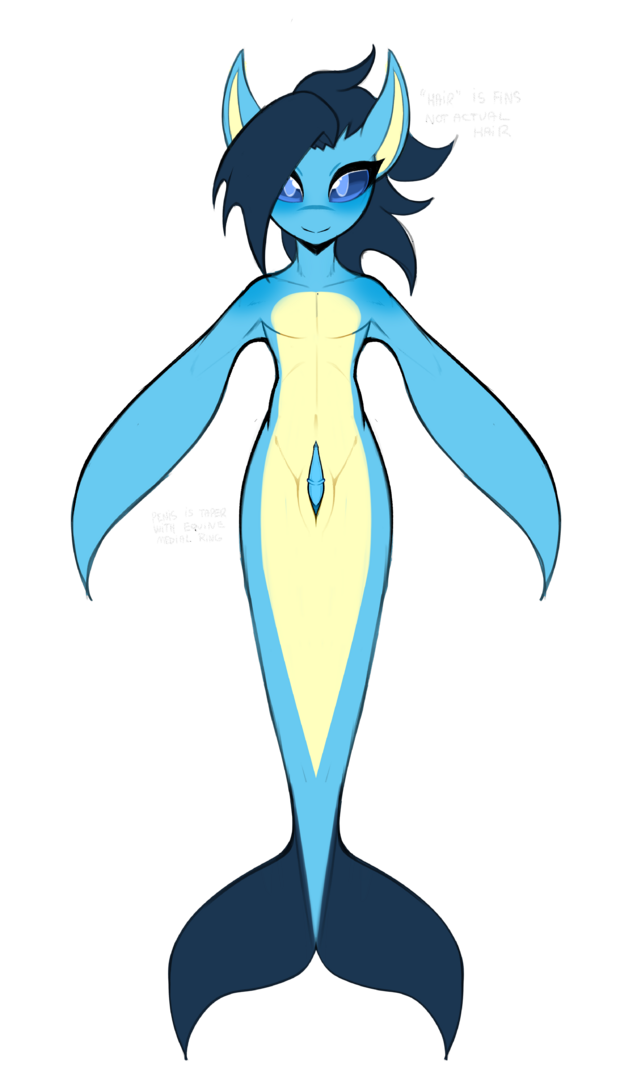 kelpsea.png
