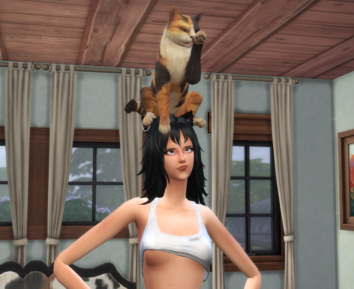 momoT_grant-cat01.png.467e56b3b63cb1afea41d0e8a3bb92c2.png