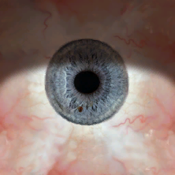 vanilla eyedefault.png