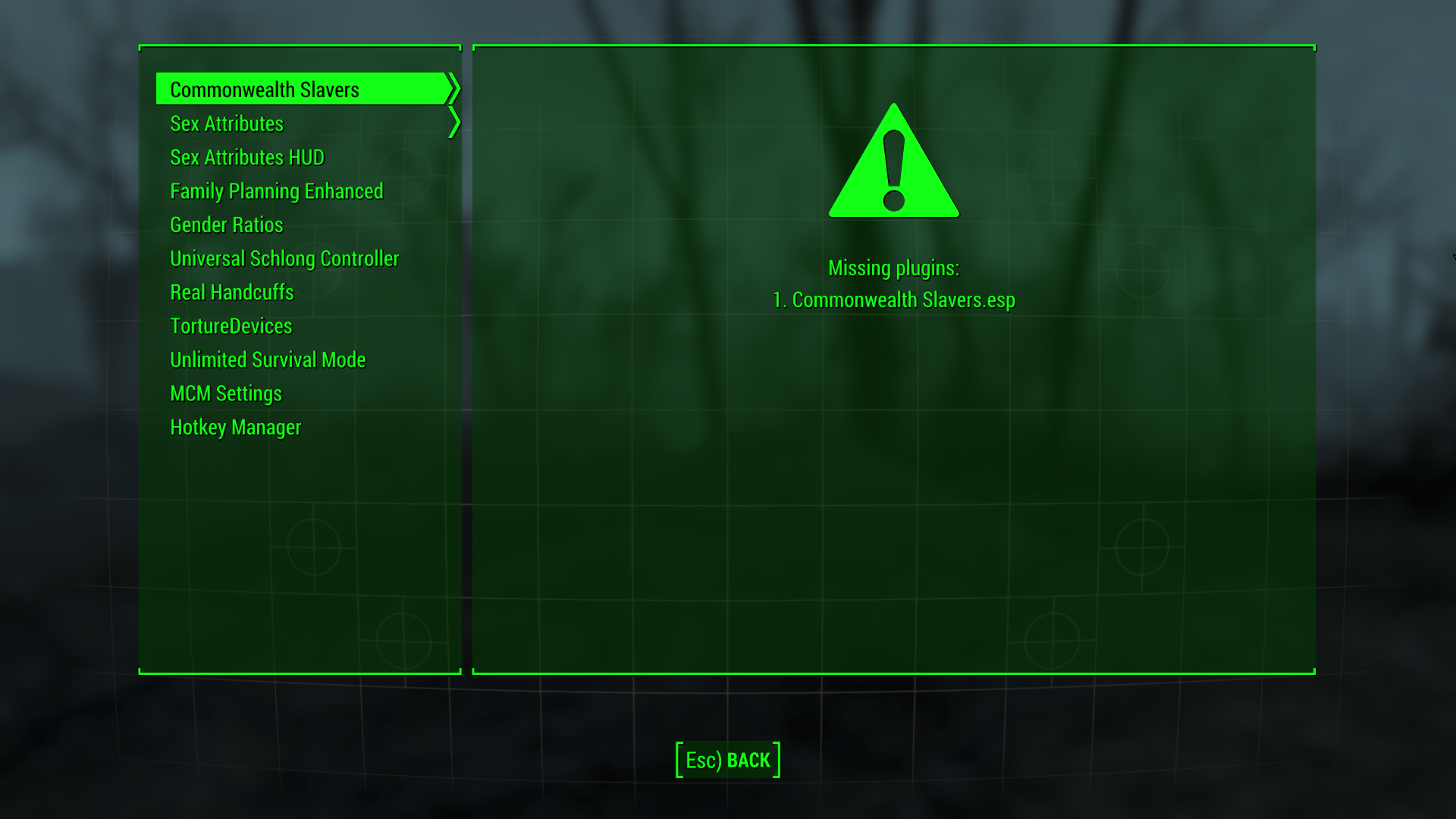 Fallout43_24_20244_54_28AM.png.b128dc4a8e03132fa994744f74af3fc0.png