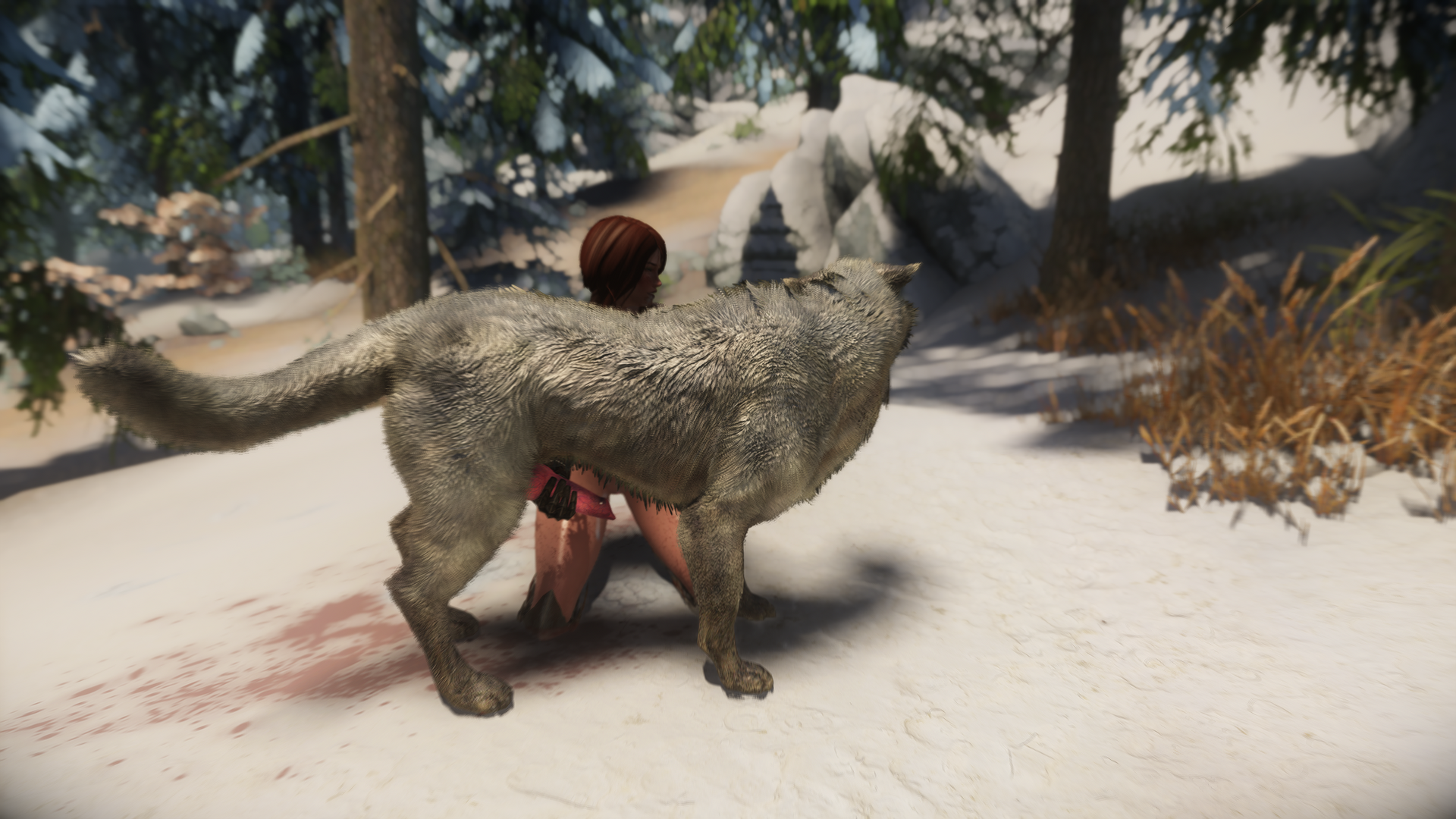 The Elder Scrolls V  Skyrim Special Edition Screenshot 2024.03.01 - 18.54.19.09.png