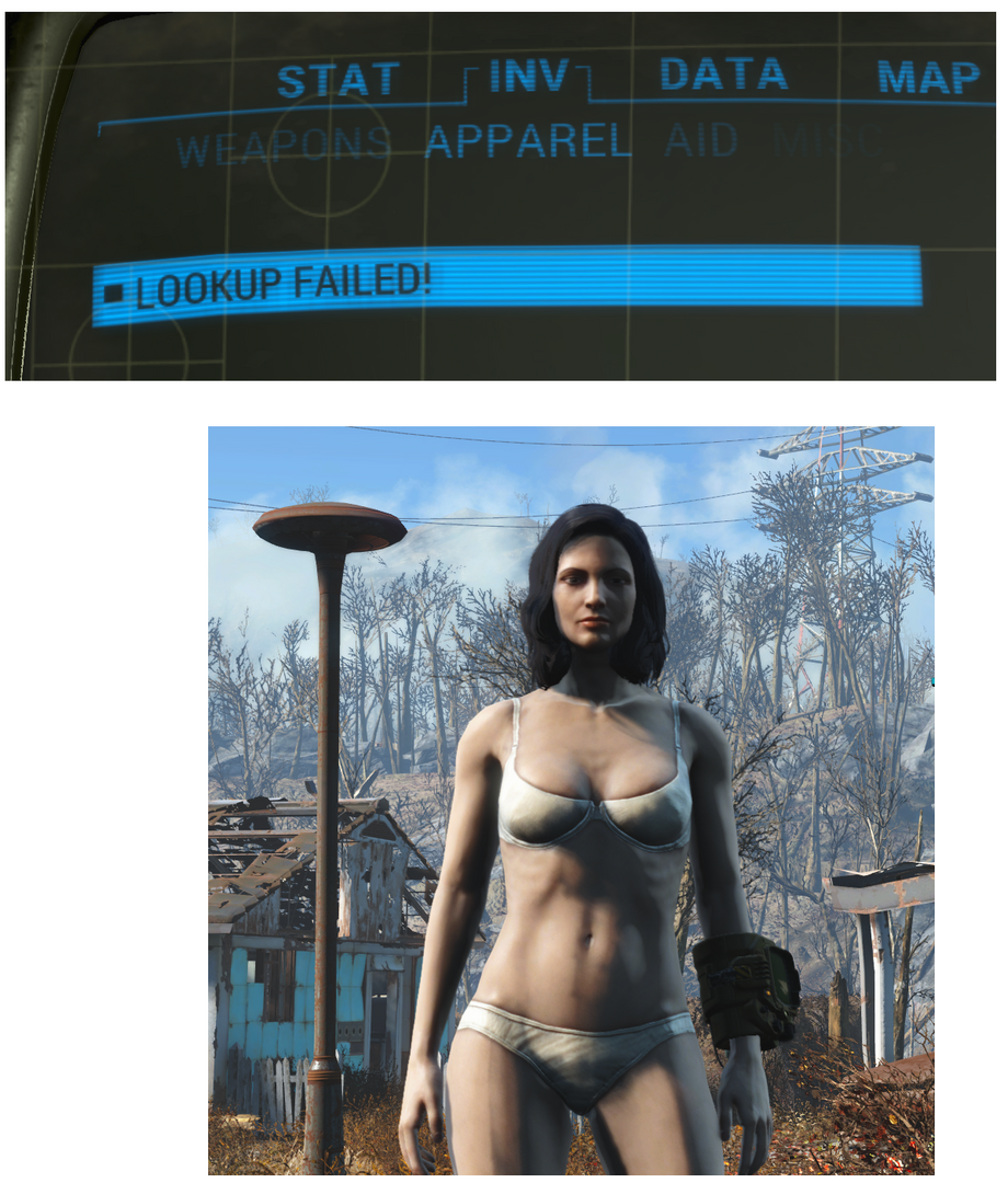 fo4irritation.thumb.png.fba01504d3964c5ee335b678a25365a6.png