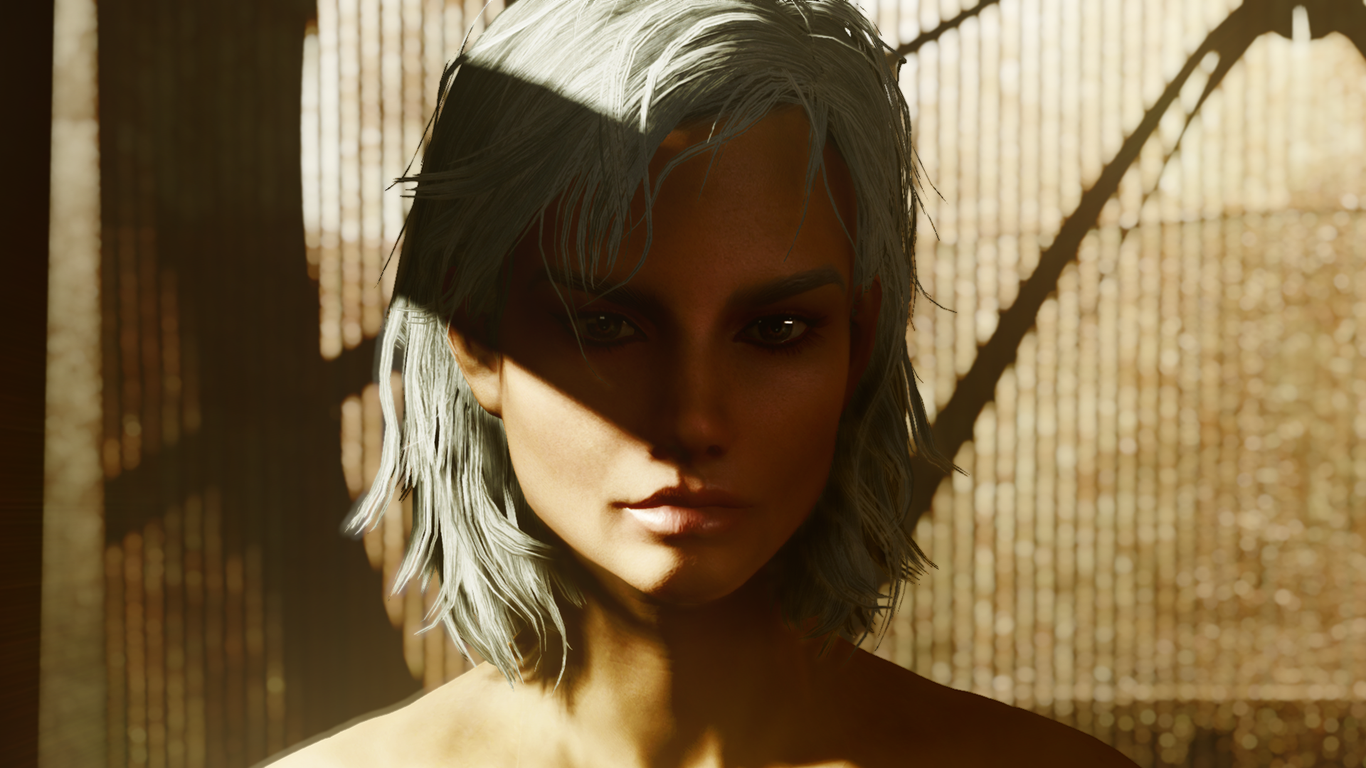 image.png.648d1851c5612d9779dc314301341687.png