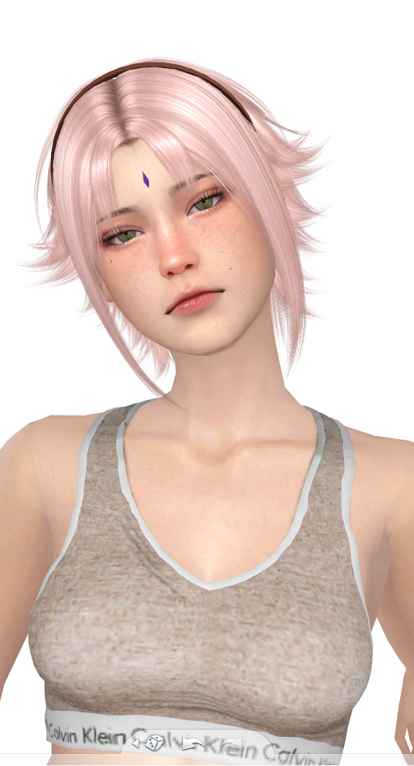 saku2.png.5a364ca637abde5ba5bbe54637dfc96e.png