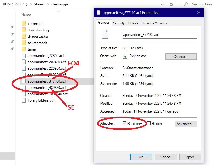 FO4_and_SE_protection_from_update.jpg.d061739d9fd112850b05aef4dce41fdb.jpg