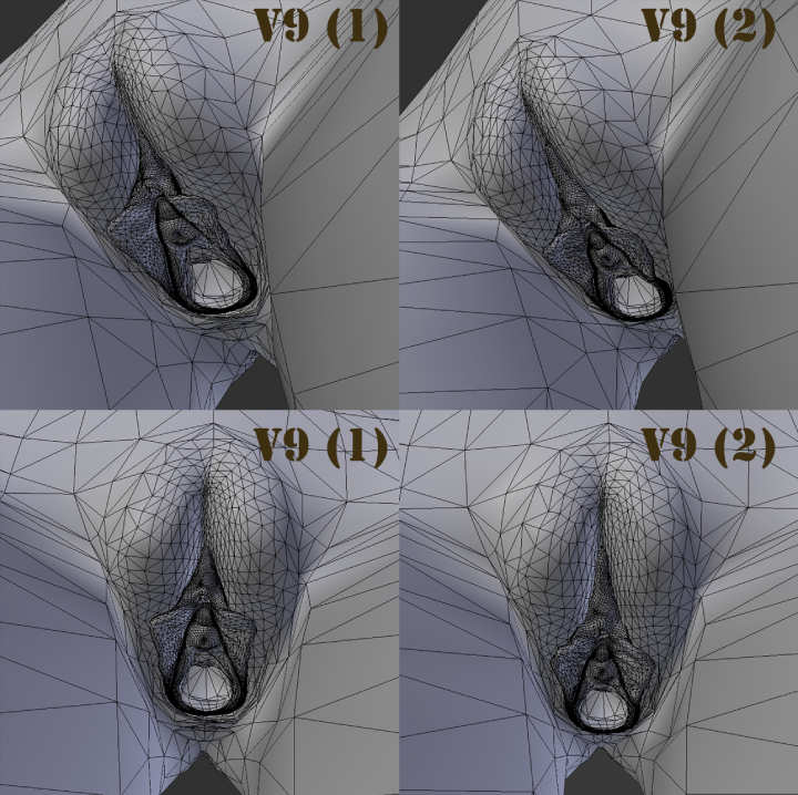 106.png.7637bedc9e28986356a6dbef87b3fde1.png