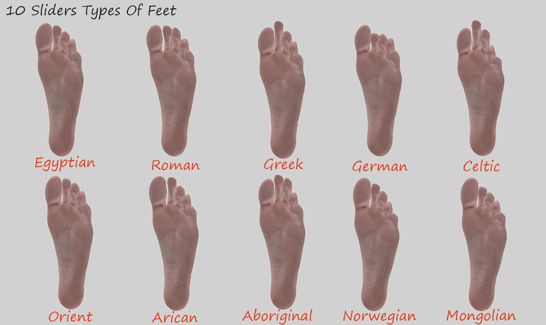 10 Sliders Type of feet.jpg