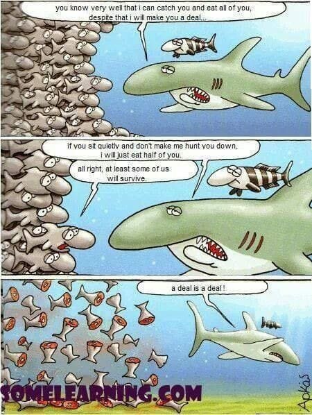 JokeSharkEatsOnlyHalf.jpg.10fd45e3034358a72a2f645c8ed46823.jpg