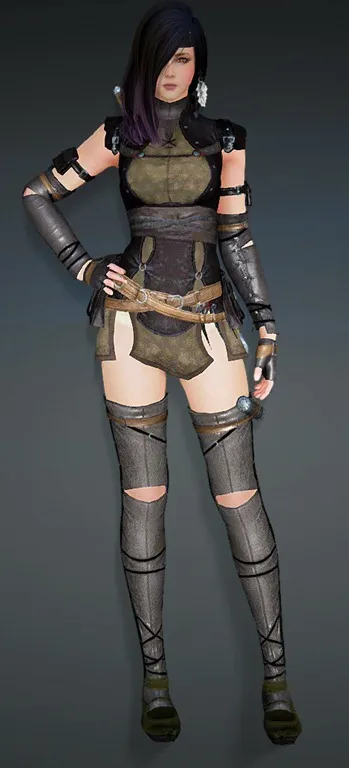 bdo-strength-of-heve-kunoichi-armor-1.webp.1cef47ee24afa33102c07deff226f24e.webp