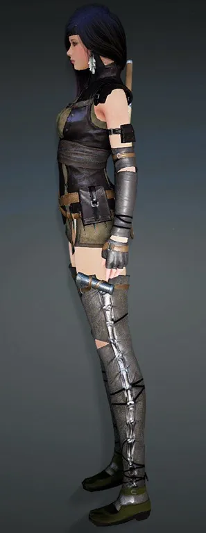 bdo-strength-of-heve-kunoichi-armor-2-1.webp.0d1736bbd4a510d2181f023ec2a778c8.webp