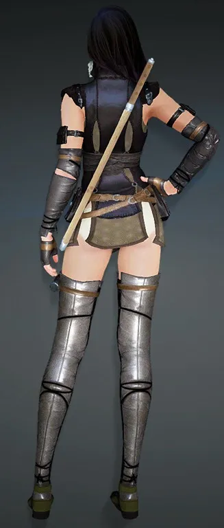 bdo-strength-of-heve-kunoichi-armor-3-1.webp.f4fc227e51aedbde7ab47d2b73b50eb1.webp